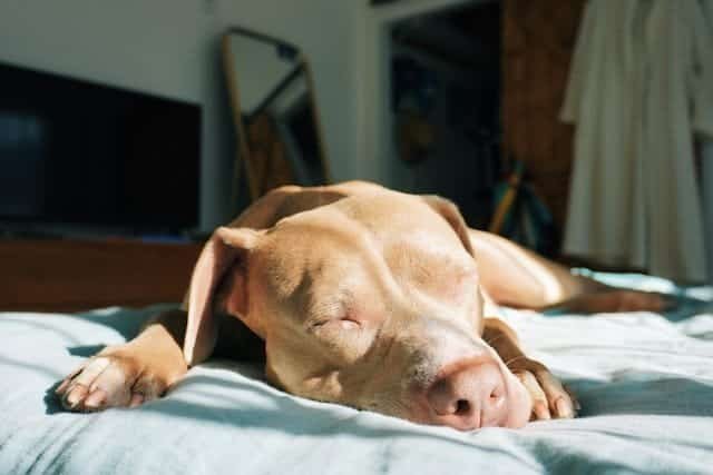How to Be as Healthy as Possible: 7 Funny Yet Effective Life Hacks You Can Start Today 6 How to Be as Healthy as Possible